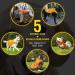 4Legriend Dogs Security Vest - High Visibility Blaze Orange Medium | 5 Sizes for Outdoor Safety Day & Night | Protects from Cars & Hunting Accidents - Buy Online on SooperMarket.com