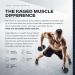 Buy Kaged Muscle PRE-KAGED Pre-Workout Primer - Pink Lemonade 1.30 lb (588g) for Energy & Focus - Buy Online on SooperMarket.com