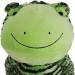 Rosewood FROGGY LONG LEGS Green Froggy Long Legs One Size (Pack of 1) - Buy Online on SooperMarket.com