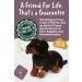 Living Nature Dachshund Eco-Friendly Plush Toy - Realistic Soft Cuddly Dog (28cm) - Buy Online on SooperMarket.com
