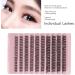 Individual Lashes DIY Synthetic Fibre Individual Lashes Cluster Thick Strong Adhesive for Makeup (DIY-SET-002) - Buy Online on SooperMarket.com