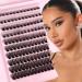 Lash Clusters 120Pcs DIY Individual Eyelash Extenisons Natural Look D Curl Cluster eyelashes 8-16MM Reusable Individuals DIY at Home (Charming)
