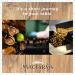 MacFarms Sea Salt Macadamia Nuts - 4 oz (Pack of 3) - Premium Hawaiian Nuts with Sea Salt - Healthy Snack Option - Buy Online on SooperMarket.com