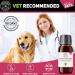C&G Pets | Natural Worm Wood | Natural Solution For Intestinal Health No Nasty Chemicals | Powerful Colon Cleanse For Dogs Cats Poultry Birds Ferrets Rabbits & Pets - Buy Online on SooperMarket.com