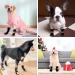 2 Pairs Anti Slip Dog Socks Paws Stop Licking Dog Cat Paw Protectors with Waterproof Rubber Bottom and Adjustable Straps Dog Claw Socks for Puppy Dog Indoor Outdoor Hardwood Floor Walking (M) - Buy Online on SooperMarket.com