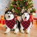 GOYOSWA 2 Pack Christmas Dog Bandanas for Large Dogs Buffalo Plaid Dog Bandana Triangle Scarf Christmas Dog Cosumes for Small Medium Large Extra Large Dogs (Red Plaid Large) Red Plaid Large - Buy Online on SooperMarket.com