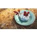 Eco-Friendly Lotus Shaped Clay Floral Holder for Happy and Wealthy Floral Arrangements - White, 2.76 inches - Buy Online on SooperMarket.com