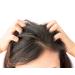 Difeel 99% Natural Premium Tea Tree Hair Oil 7.78 oz - Pack of 4 - Buy Online on SooperMarket.com