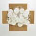 50-Pack Nut-Free White Iced Smiley Cookie Sugar Cookies