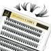 Lankiz Self-Adhesive Eyelashes - 160pcs No Glue Required 40D D Curl DIY Eyelash Extensions Reusable Pre-Glued Individual Lashes - Buy Online on SooperMarket.com