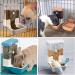 TOKAYIFE Automatic Pet Feeder 800ml Adjustable Outlet Food Dispenser Power-Free for Small Animal Cage Crate Hutch Rabbit Cat Puppy Guinea Pig Chinchilla Bird Hamster (Blue) - Buy Online on SooperMarket.com