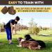 BRUTUS & BARNABY Peanut Butter & Banana Training Treats for Dogs - 8oz Pack - All-Natural Vegan Reward for Puppy Training - Buy Online on SooperMarket.com