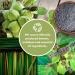 Natural Ylang Ylang Bath Soap 3.35 oz | Luxurious Aromatic Skincare for All Skin Types | International Shipping Available - Buy Online on SooperMarket.com