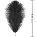 Soarer Black Ostrich Feathers Bulk - 30pcs 8-10 inch for Wedding Party Centerpieces & Home Decor - DIY Crafts (Black) - Buy Online on SooperMarket.com