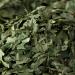 Buy Bremer Gew rzhandel Shredded Wild Garlic - 40g | Perfect for Delicious Pesto | Dried Wild Garlic - International Shipping - Buy Online on SooperMarket.com