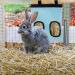 Rabbit Hay Feeder Bag Guinea Pig Hay Feeder Storage Racks 600d Oxford Cloth Fabric Hanging Feeding Hay for Hamsters Bunny Small Animals (Blue) - Buy Online on SooperMarket.com