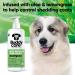 Buy BuddyCare Fell Care Shampoo for Dogs Aloe Vera & Pro-Vitamin B5 Hair Loss Control | 500ml x 3 International Shipping Available - Buy Online on SooperMarket.com