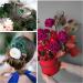 10pcs Multicolored Natural Peacock Feathers for DIY Crafts and Easter Decoration - 10-12 inch - Buy Online on SooperMarket.com