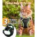 Halypet Cat Harness and Leash Set - Third Generation Escape Proof Design for Maximum Safety - Adjustable, Breathable Vest for Outdoor Walking - Black Small - Buy Online on SooperMarket.com