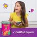 Annie's Organic All Stars Pasta in Tomato & Cheese Sauce - 15 oz Can - Buy Online on SooperMarket.com