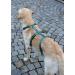 Kerbl 80045 Panic Harness Miami - Escape-Proof Design Petrol Color Adjustable 64-100cm | Shop Now for International Shipping - Buy Online on SooperMarket.com
