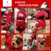 KYEESE Xmas Holiday Dog Pajamas - Soft Velvet Pjs for Small Medium Dogs - Penguin Design - Buy Online on SooperMarket.com