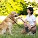 ZEEJORY Retractable Dog Lead 5M Extendable Dog Lead with LED Light & Poo Bag Holder Easy One Button Brake&Pause&Lock Anti-Slip Handle Dog Leash Small to Large Dogs up to 110lbs(50KG) - Buy Online on SooperMarket.com