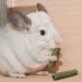 Niteangel 20pcs Natural Timothy Hay Sticks for Rabbits, Chinchillas, Guinea Pigs | Molar Rod for Small Animals - Buy Online on SooperMarket.com