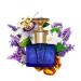 Caswell-Massey Elixir of Love Eau de Toilette Jasmine Passionflower & Lavender Perfume for Women 2.0 Fl Oz Elixir of Love 2 Fl Oz (Pack of 1) - Buy Online on SooperMarket.com