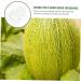 SUPVOX 9 pcs Gardening DIY Moldvegetable for Pear Shaped Multifunction Growing Accessories Mould - Buy Online on SooperMarket.com