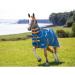 Shires Tempest Original Lite Turnout Rug & Neck - Teal Teal 6ft0 - Buy Online on SooperMarket.com