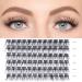 Buy Lankiz 0.07 C Curl Single Eyelashes - 10mm Cluster Lashes 72 PCs DIY Natural Fake Eyelash Extensions for Home Use - Buy Online on SooperMarket.com