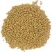 Organic Soya Beans No Additives No Preservatives Raw High Fibre High Protein Vegan GMO-Free - Perfect for Plant-Based Recipes - Thames Organic 500g 500 g (Pack of 1) - Buy Online on SooperMarket.com