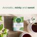 Traditional Medicinals - Organic Spearmint Herbal Tea (Pack of 6) - Refreshing and Minty - 96 Tea Bags Total Tea Spearmint 16 Count (Pack of 6) - Buy Online on SooperMarket.com