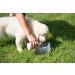SONNENMOOR Liquid Moor for Dogs 500ml Natural Support for Pets | International Shipping Available - Buy Online on SooperMarket.com