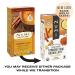 Numi Organic Turmeric Chai - Caffeine-Free Golden Latte Powder, 24 Servings, 2.12oz (Pack of 1) - Buy Online on SooperMarket.com