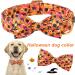 Shop Aring Pet Halloween Dog Halison - Adjustable Cotton Neck Strap for All Dog Sizes - Sweet Orange Festival Band - Buy Online on SooperMarket.com