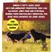 True Dog Premium Omega Oil High Grade Omega 3 6 & 9 supplement for Dogs & Cats | Hemp & Flaxseed Blend Joint Mobility Skin & Coat Support (1ltr) - Buy Online on SooperMarket.com