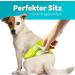 Dog is K nig Male Dog Diapers - Washable Comfort for Incontinence | Eco-Friendly Easy to Clean XS (23-32cm) - 3 Pack in Black Blue Green - Buy Online on SooperMarket.com