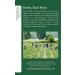 Traditional Medicinals Yellow Pau d'Arco Herbal Tea - Pack of 2 (32 Tea Bags) for Wellness - Buy Online on SooperMarket.com