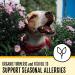 Premium Senior Dog Food for Dogs 7+ Years | Nutritious & Easy to Digest - Buy Online on SooperMarket.com
