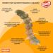 Nylabone Extreme Power Chew Gator Tail Alternative Dog Chew Toy Chicken Flavour - Large/Giant (Up to 23kg) - Buy Online on SooperMarket.com