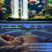 Forever Speed Aquarium Air Pump - Ultra Quiet 8W 480L/H Adjustable Oxygen Pump for 80-600L Tanks - Double Air Holes for Maximum Oxygen Supply - Buy Online on SooperMarket.com