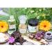 Sonnenmoor Universal Moor & Herb Cream - Natural Ointment with Arnica & Horse Chestnut for Skin Care (90g) - International Shipping Available - Buy Online on SooperMarket.com