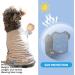 KYEESE 2 Pack Dog Shirts | Quick Dry Raglan Sleeve | Soft & Stretchy | Lightweight Dog Clothes | Reflective Label | 21 Chest | Small to Medium Dogs | Blue & Grey | 2 Pack - Buy Online on SooperMarket.com