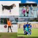 12 Pack Sweatband Wristbands - Absorbent Football & Basketball Gear for Athletes - Buy Online on SooperMarket.com