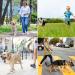 Demigreat Long Dog Leash | 1.5m/3m/5m Training Line with Padded Handle for Small to Large Dogs - Robust & Comfortable - Buy Online on SooperMarket.com