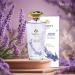 Yardley English Lavender by Yardley of London for Women Eau De Toilette Spray 4.2 Ounce 4.2 Fl Oz (Pack of 1) - Buy Online on SooperMarket.com