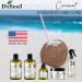 Difeel Essentials Hydrating Coconut Hair Mask 8 oz | Deep Moisturizer for Dry Hair Reduces Frizz 100% Natural Oils - International Shipping Available - Buy Online on SooperMarket.com