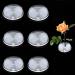 Worldity 6 Pieses Flower Frog  2.55 Flower Pin Holder  Flower Frogs for Arrangements with 3 Mini Suction Cups for Ikebana Vases Plant Fixation  Flower Decoration Clear